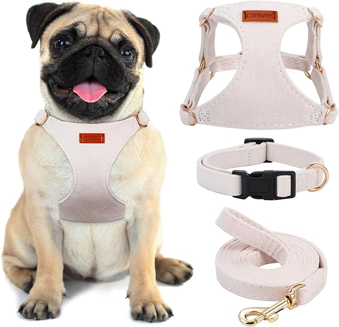 No Pull Dog Harness- Lightweight, Soft, Adjustable Small Harness Collar and Leash Set, Suitable for Cats Puppy Small and Medium-Sized Dog Outdoor Training and Running (Beige, S)