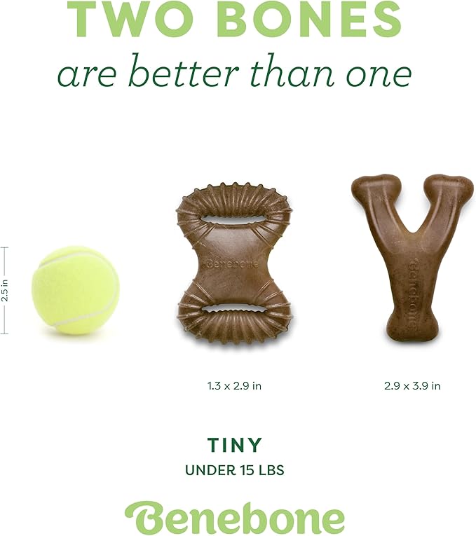 Benebone Tiny 2-Pack Dog Chew Toys, Made in USA, Real Bacon Flavor