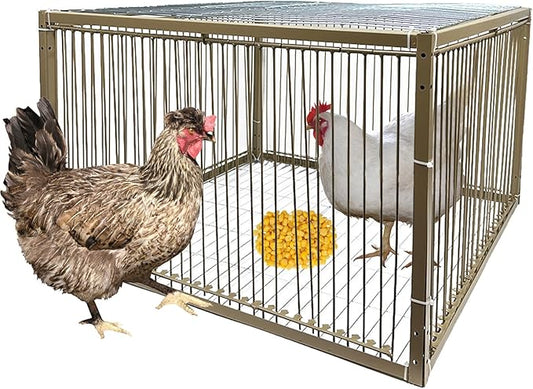 15" H Chicken Pigeon Trap Cage Birdcage Small Animal Trap Cage with Escape-Proof Design for Bird Turkey Duck Dove (23.6" L x 23.6" W x 15.7" H)