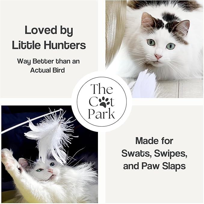 Cat Wand Toy Set – 2 Feather Teaser Wands with 4 Interchangeable Refills, 27" Flexible Wire & Wooden Handle, Interactive Play for Indoor Cats and Kittens