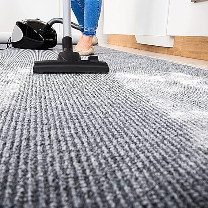 Enforcer Flea Killer for Carpet - Ocean Breeze Fragrance - 20 oz (Case of 12) EFKOB203 - Kills Fleas, Ticks, Lice, Ants, Silverfish, Roaches and More