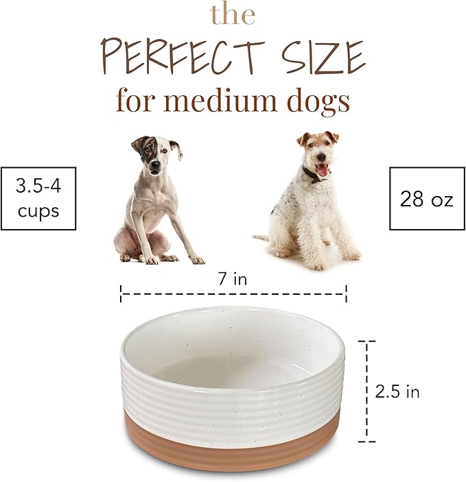 Mora Ceramic Pet Bowl Size Medium - Food/Water Dish for Large Puppies, Cats, Retrievers, Medium Sized Dogs, ect. 28oz or 4 Cups - Basic Bowls for Your Dog or Cat, Mix and Match for a Set - Vanilla