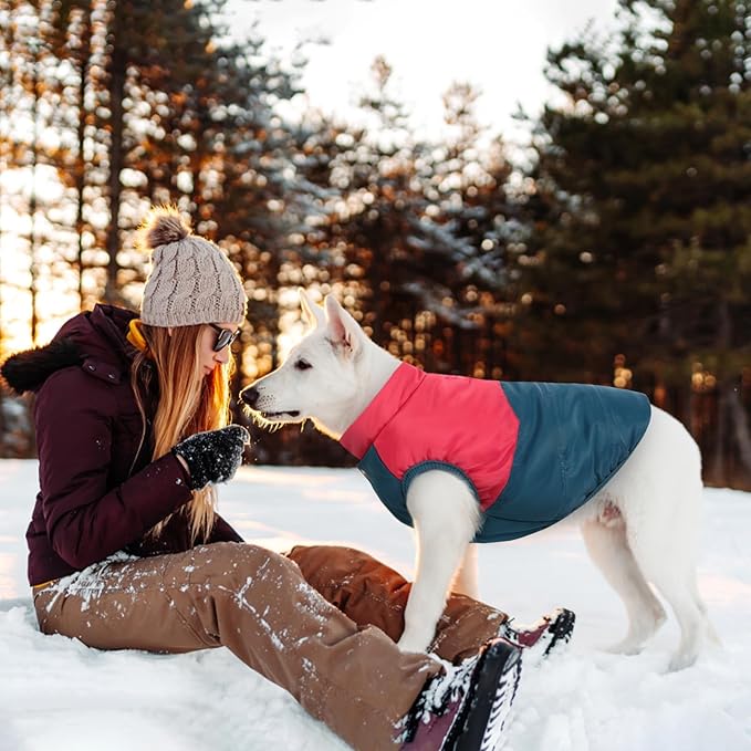 ASENKU Dog Winter Coat - Waterproof Windproof Dog Jacket, Warm Snowproof Doggie Puffer Vest for Cold Weather, Lightweight Snow Coats for Small Medium Large Dogs (Red&Navy, XXL)
