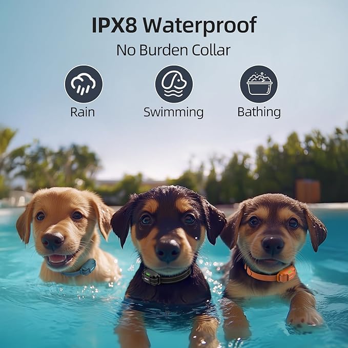 Jugbow Dog Training Collar for 3 Dogs- 4200FT Training Collars with Remote for 5-120 lb Large Medium Small Dogs, Rechargeable Waterproof IPX8 E Collars for Dogs