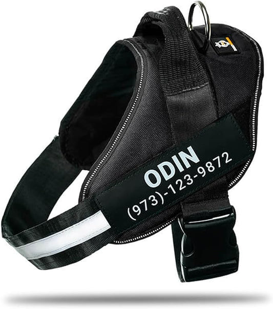 Personalized No-Pull Dog Harness with Name Patch, Adjustable, Reflective, Padded, Heavy Duty Pet Vest to Prevent Tugging, Pulling, or Choking, Training and Walking, Black, XS