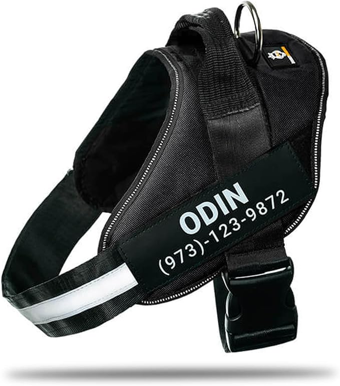 Personalized No-Pull Dog Harness with Name Patch, Adjustable, Reflective, Padded, Heavy Duty Pet Vest to Prevent Tugging, Pulling, or Choking, Training and Walking, Black, 2XL