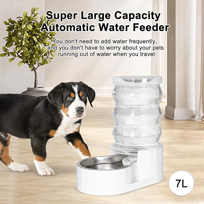 RIZZARI Automatic Gravity Pet Waterer: 7L White Stainless Steel Water Dispenser - Large Capacity Water Feeder for 25-35 LB Senior Dogs with Spinal Issues - for Living Room Bedroom