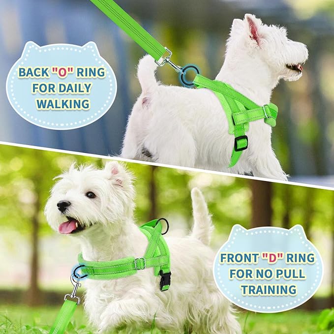 SlowTon No Pull Small Dog Harness and Leash Set, Puppy Soft Vest Harness Neck & Chest Adjustable, Reflective Lightweight Harness & Anti-Twist Pet Lead Combo for Small Medium Dogs (Green-Front Clip,XS)
