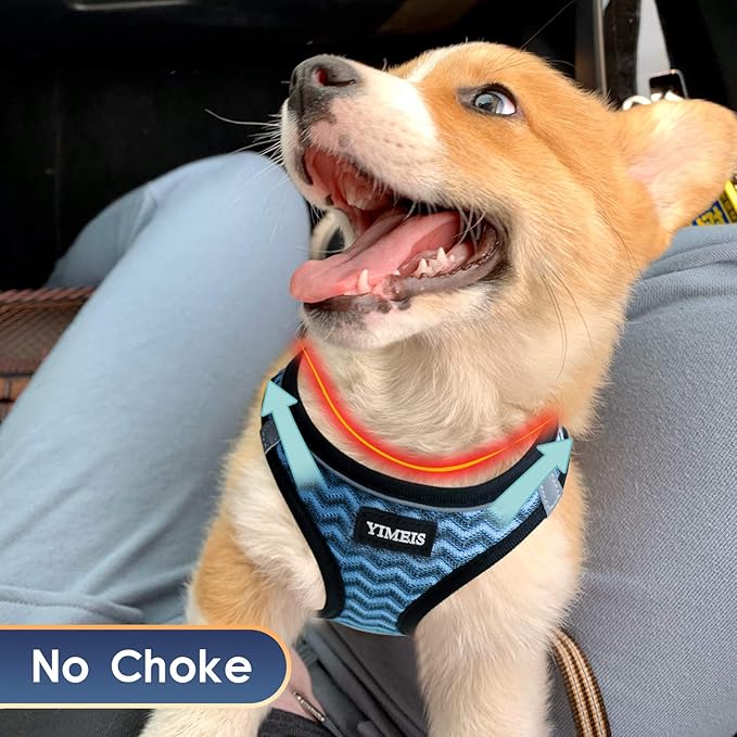 YIMEIS Dog Harness and Leash Set, No Pull Soft Mesh Pet Harness, Reflective Adjustable Puppy Vest for Small Dogs, Cats (S, Blue)