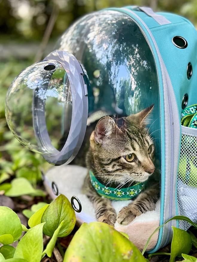 Pet Carrier Backpack for Kitten, Small Puppy and Bunny, Backpack for Kitten, Space Capsule Bubble Cat Backpack Carrier, Airline Approved Waterproof Green Pet Backpack for Small Dog (Pink)
