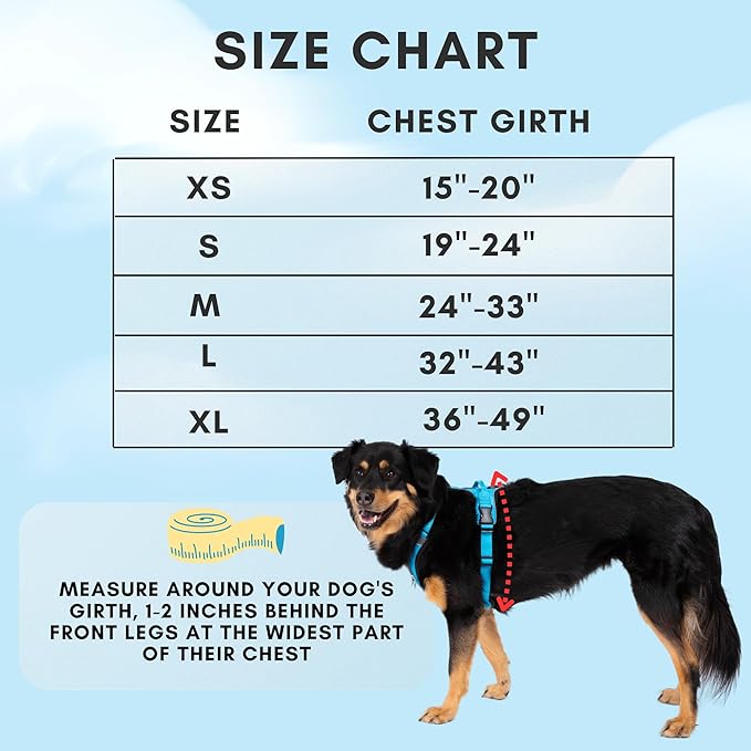 ShawnCo Basecamp Dog Harness, No-Pull Pet Vest with 3 Leash Clips, Padded, Reflective, Lightweight and Adjustable Harness with Handle for Small, Medium and Large Dogs (Mustang Red, XL)