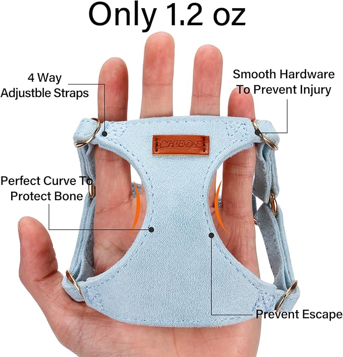 No Pull Dog Harness- Lightweight, Soft, Adjustable Small Harness Collar and Leash Set, Suitable for Cats Puppy Small and Medium-Sized Dog Outdoor Training and Running (Blue, XS)