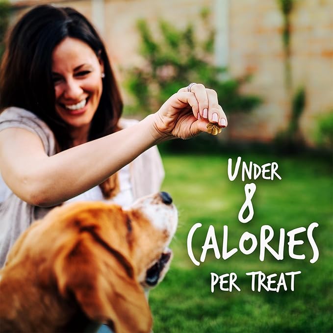 Fruitables Baked Dog Treats, Healthy Pumpkin Treat for Dogs, Low Calorie & Delicious, No Wheat, Corn or Soy, Made in the USA, Pumpkin and Banana Flavor, 12oz