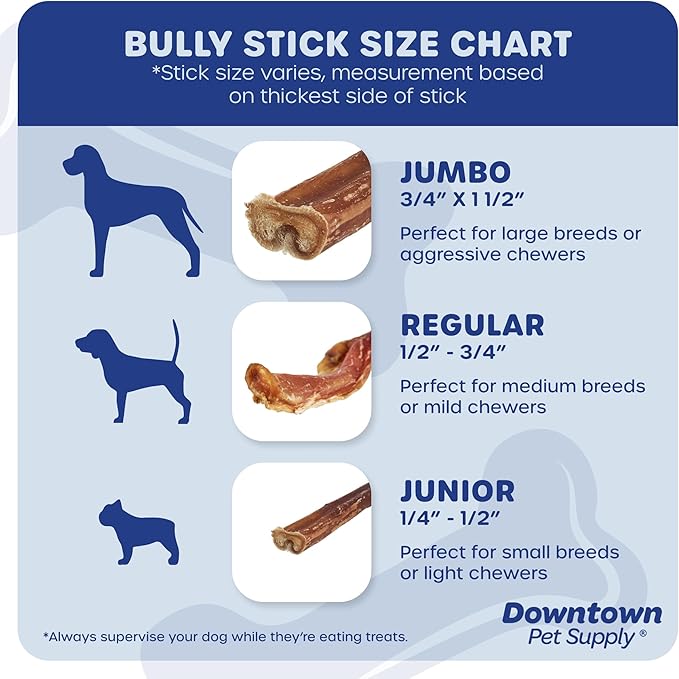 Downtown Pet Supply USA-Made Bully Sticks for Dogs (6", 15-Pack Regular) Rawhide Free Dog Chews Long Lasting Non-Splintering Pizzle Sticks - Low Odor Bully Sticks for Small - Medium Dogs