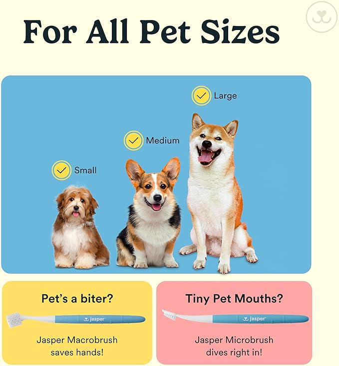 Jasper Dog Toothbrush, 360 Degree Pet Tooth Brushing Kit, Cat Toothbrush, Canine Dental Care & Teeth Cleaning Kit, Pet Finger Tooth Brush, Use with Dog Toothpaste, 10-Pack Blue