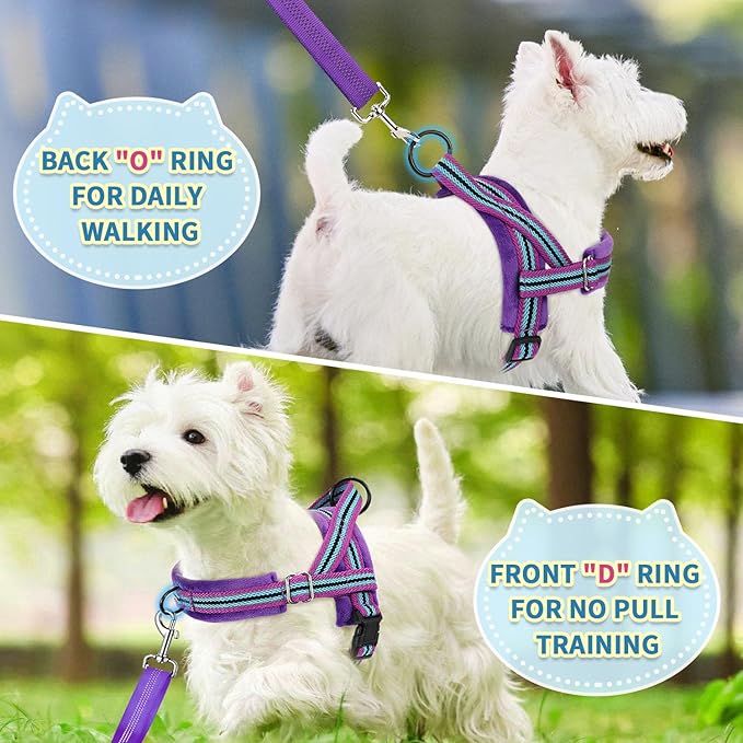 SlowTon No Pull Small Dog Harness and Leash Set, Puppy Soft Vest Harness Neck & Chest Adjustable, Reflective Lightweight Harness & Anti-Twist Pet Lead Combo for Small Medium Dogs (PU-Front Clip, S)