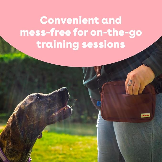 Pupford Freeze Dried Training Treats for Dogs & Puppies, 1400+ Two Ingredient Bites (Salmon, 4 oz, 3 Pack)