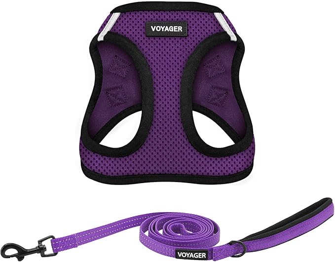 Voyager Step-in Air All Weather Mesh Harness and Reflective Dog 5 ft Leash Combo with Neoprene Handle, for Small, Medium and Large Breed Puppies by Best Pet Supplies - Purple/Black Trim, XX-Small