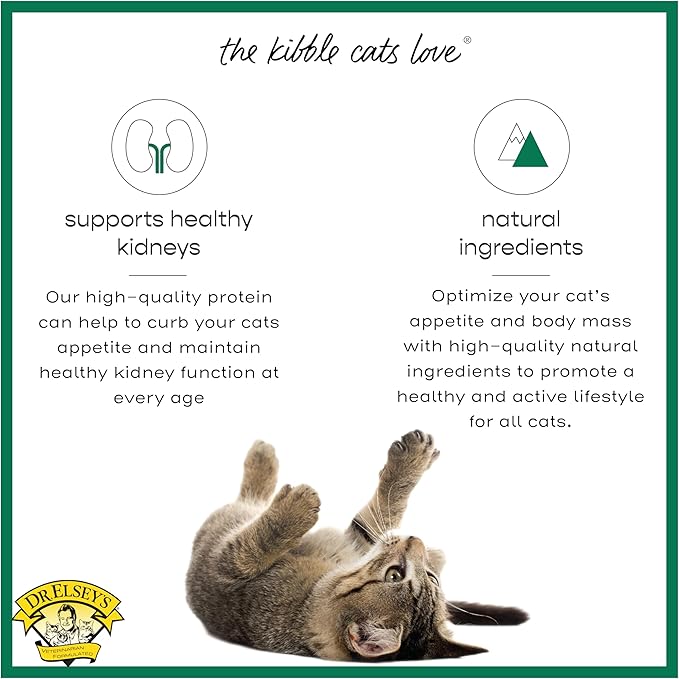 Dr. Elsey's cleanprotein Duck Cat Kibble 2 lb. Bag