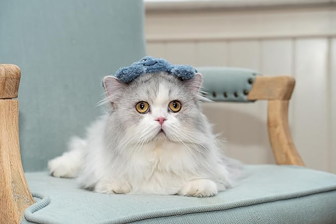 Interactive Catnip Cat Plush Toy, Ocean Theme, 5'', for All Breed Size Cats (Crab)