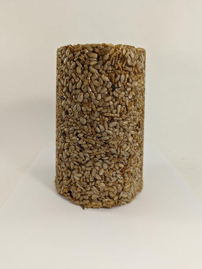 Songbird Treats Seed Tower 2 Packs | Bundle of 2 | 1.5-2 lb Seed Log Towers for Wild Birds (Sunny Mealworm)