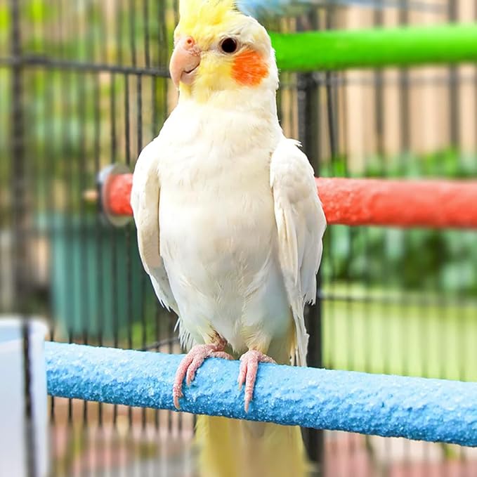 Hamiledyi 4 PCS Parrot Perch Stand Toy Bird Cage Perch Toy Natural Paw Grinding Stick for Medium Parrots Parakeets Cockatiels Lovebirds Chewing Stick (M)
