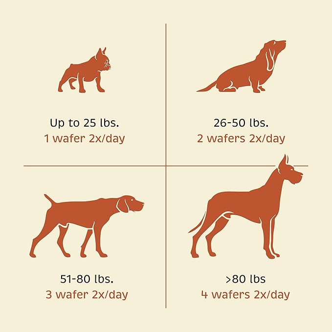 Joint and Mobility for Dogs - Joint Support Supplement for Dogs - Antioxidant Supplement with Vitamin C & E - Dog Supplement with Glucosamine & Chondroitin - 100 Chewable Wafers
