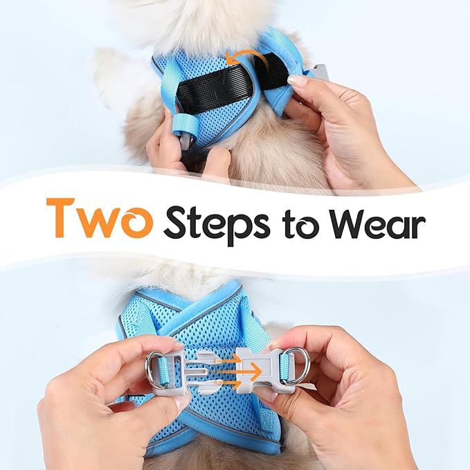 Dooradar Cat Harness and Leash Set, Escape Proof Lightweight Kitten Harness, Soft Breathable Reflective Vest for Outdoor Walking Traveling, Adjustable for Small Cats, Orange & Blue, S