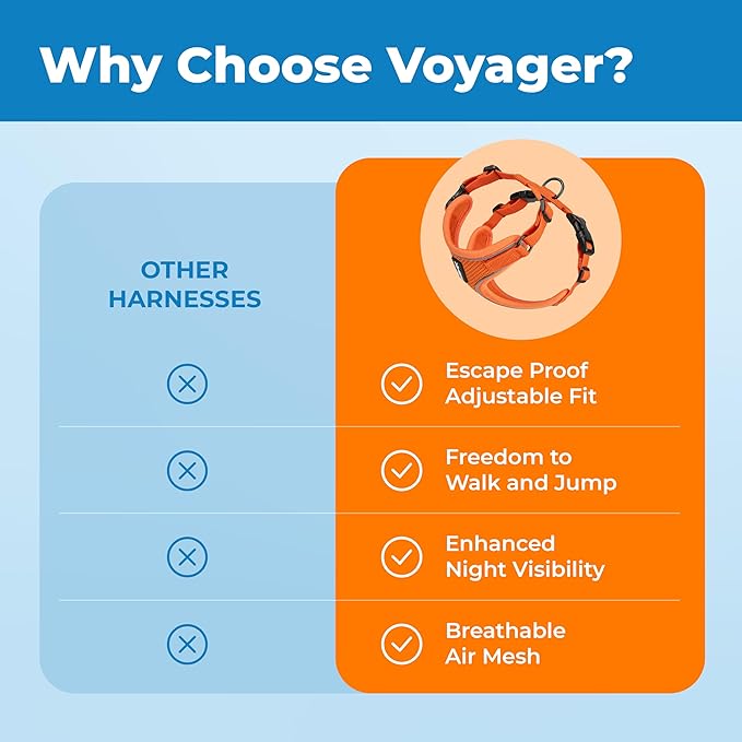 Voyager Escape Proof Cat Harness and Leash Set with Reflective Stitching, Neoprene Handle 5ft - Supports Small, Medium and Large Cats, Kittens for Walking by Best Pet Supplies - Orange, XXS