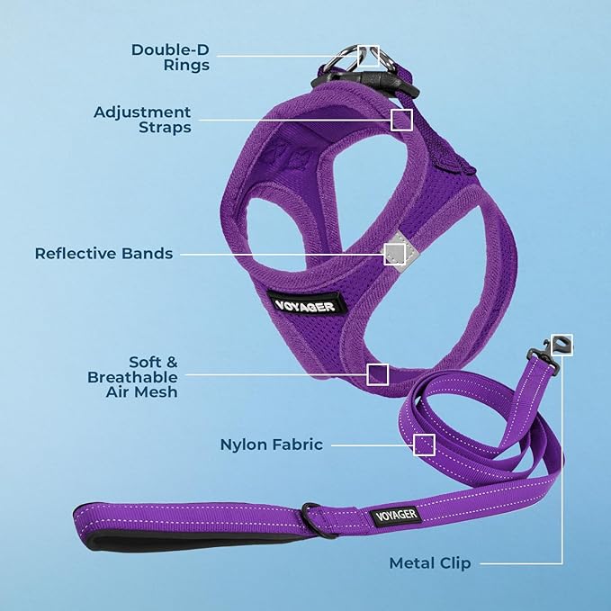 Voyager Step-in Air Cat Harness - All Weather Mesh Step in Vest Harness for Small and Medium Cats by Best Pet Supplies - Set (Purple), XXXS