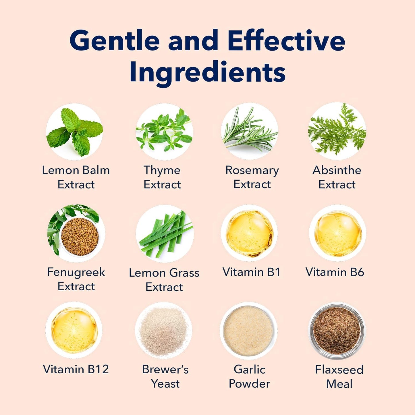 Vets Preferred Flea and Tick Prevention for Dogs Chewable - Daily Defense Without Harsh Chemicals - Immune Support & Antioxidant Protection - Beef Flavored - 90 Soft Chews