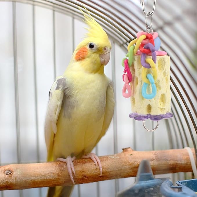 Wontee Bird Chewing Toys Bird Beak Grinding Stone Calcium Parakeet Treats for Budgies Cockatiels Conures Quaker Senegal Parrot (Random Color)