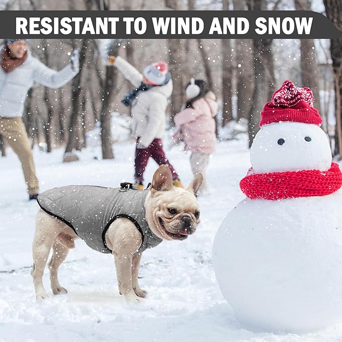 SCENEREAL Winter Dog Vest Coat with Harness Built in, Warm Puppy Jacket for Small Medium Sized Dogs, Dog Cold Weather Coats with Zipper, Fleece Puffer Vest Windproof Snow Clothes for Puppies Pet