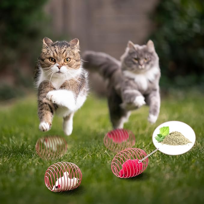 Jecery 5 Pcs Cat Spring Balls Stretchable Springs Toys Rolling Balls Colorful Playful Coils Interactive Spring Action Toy Caged Rats for Kitten Cat Pet Supplies Indoor (Catnip Rats,Bright Color)