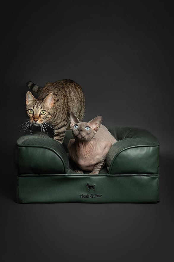 NOAH & PAW Small Dog Bed, 20x15x8 Inch, Cat Bed for Indoor Cats, Orthopedic Eggshell Memory Foam Infused with Cooling Gel, Waterproof Inner Cover Machine Washable (Faux Leather Collection)