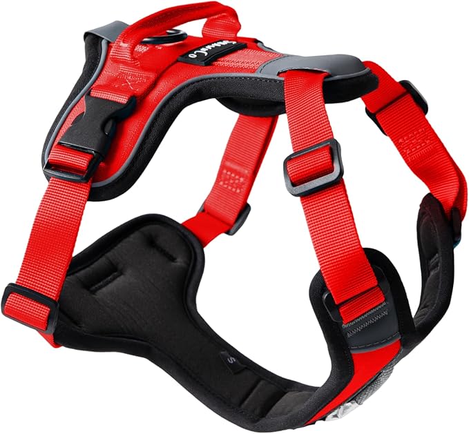 ShawnCo Basecamp Dog Harness, No-Pull Pet Vest with 3 Leash Clips, Padded, Reflective, Lightweight and Adjustable Harness with Handle for Small, Medium and Large Dogs (Mustang Red, L)