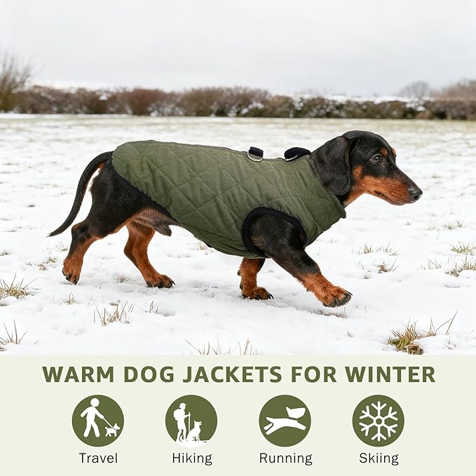 SCENEREAL Dachshund Winter Dog Vest Coat with Harness Built in, Warm Puppy Jacket for Small Medium Dogs, Cold Weather Coat with Zipper, Fleece Puffer Vest Windproof Snow Clothes