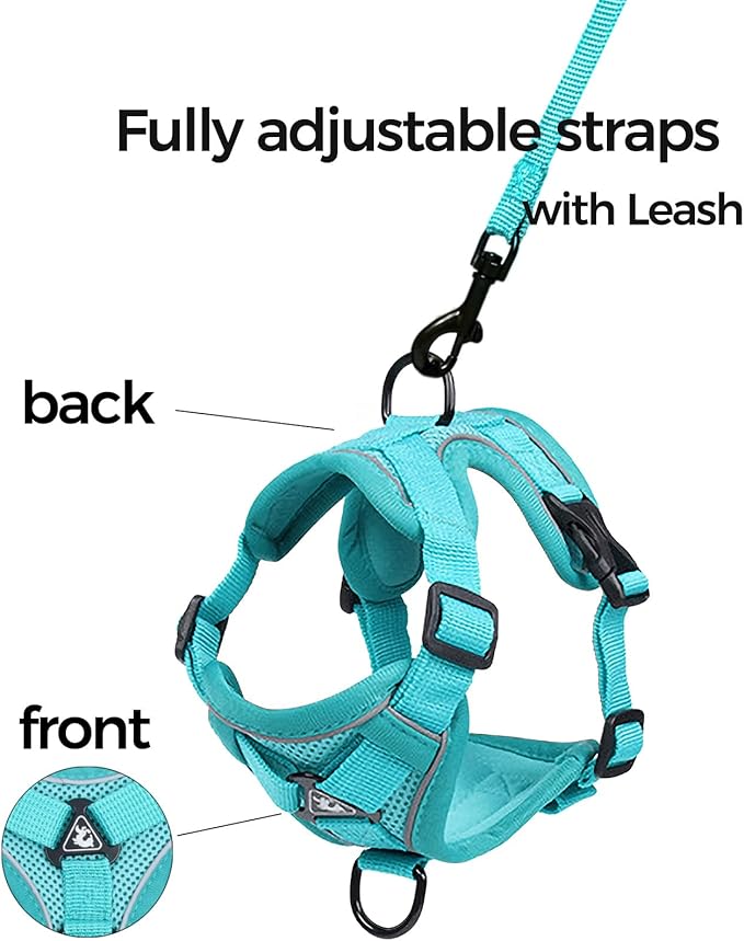 Cat Harness and Leash Set Escape Proof Tactical Extra Large Kitten Harness Emotional Support Cat Vest, Turquoise, XXL