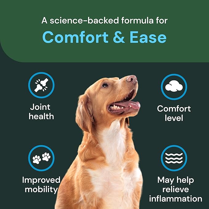 VETRISCIENCE Veterinary Strength Healthy Hip & Joint Chews - Joint Health Supplement for Dogs - Supports Mobility & Flexibility - 60 Count