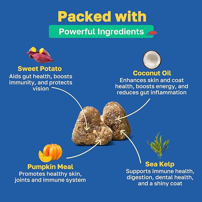 Happy Paws Scoot Stop Supplement for Dogs, Anal Gland Chew & Digestive Health Support for Dogs of All Breeds & Ages, Vegan Chicken Flavor, Organic, Non GMO, 100 Soft Chews