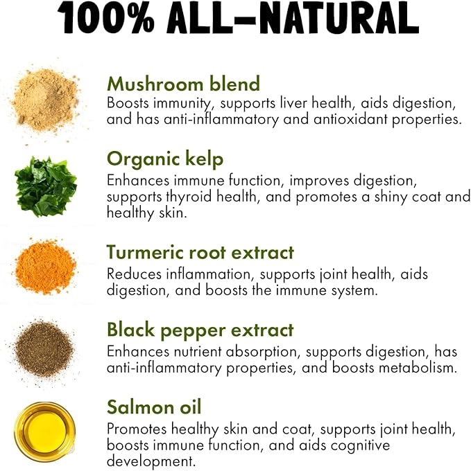 Turmeric Curcumin Hip & Joint Supplement for Dogs – Supports Mobility, Comfort & Overall Wellness – with Collagen & BioPerine – 30 Chews