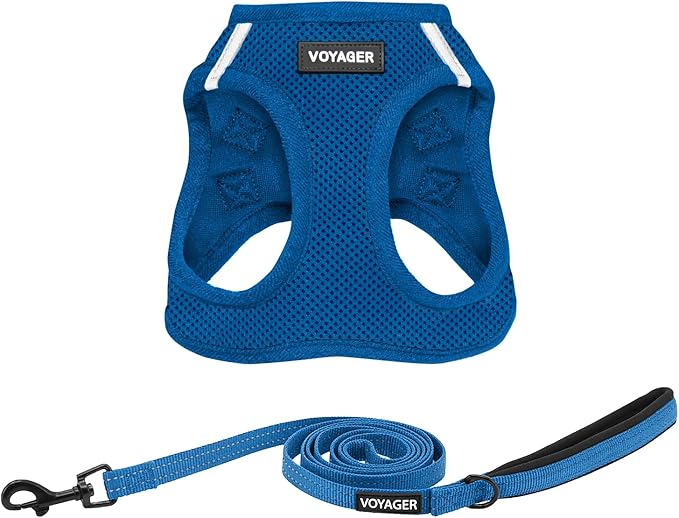 Voyager Step-in Air All Weather Mesh Harness and Reflective Dog 5 ft Leash Combo with Neoprene Handle, for Small, Medium and Large Breed Puppies by Best Pet Supplies - Set (Royal Blue), XS