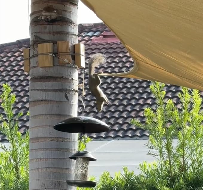 13" Bird Feeder Rain Guard, Hummingbird Feeder Shade Dome Cover, Hanging Baffle for Bird Feeder Pole (Black), 1 Pack