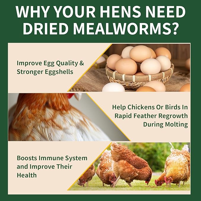 Dried Mealworms 5LB, 100% Natural, Non-GMO Mealworms for Chickens – High Protein Chicken Feed Meal Worms for Wild Birds, Chickens, Ducks and Turtles