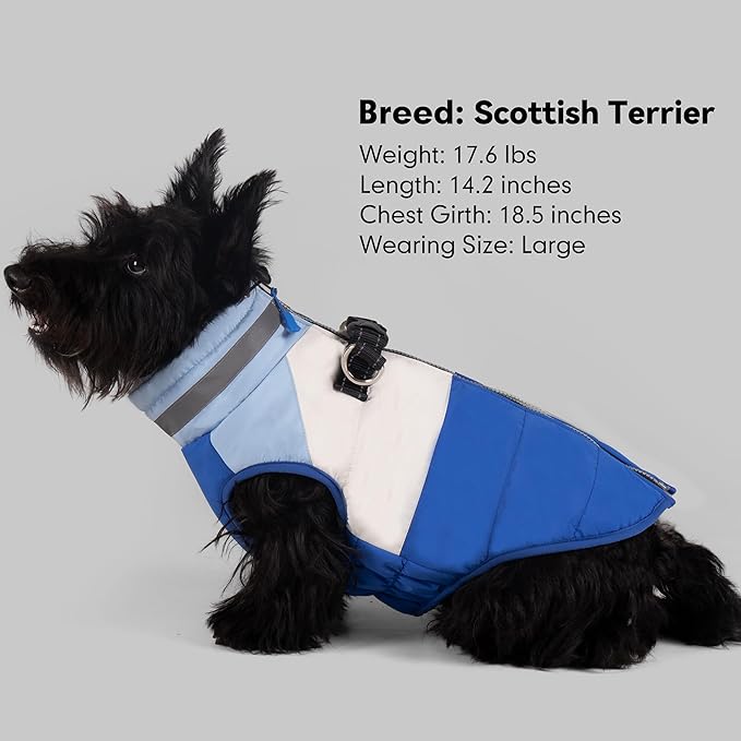 azuza Dog Jacket for Small Dogs Waterproof Dog Coat with Reflective Strips and Harness Built in Warm Fleece Dogs Winter Coat Windproof with Back Zipper, Blue M