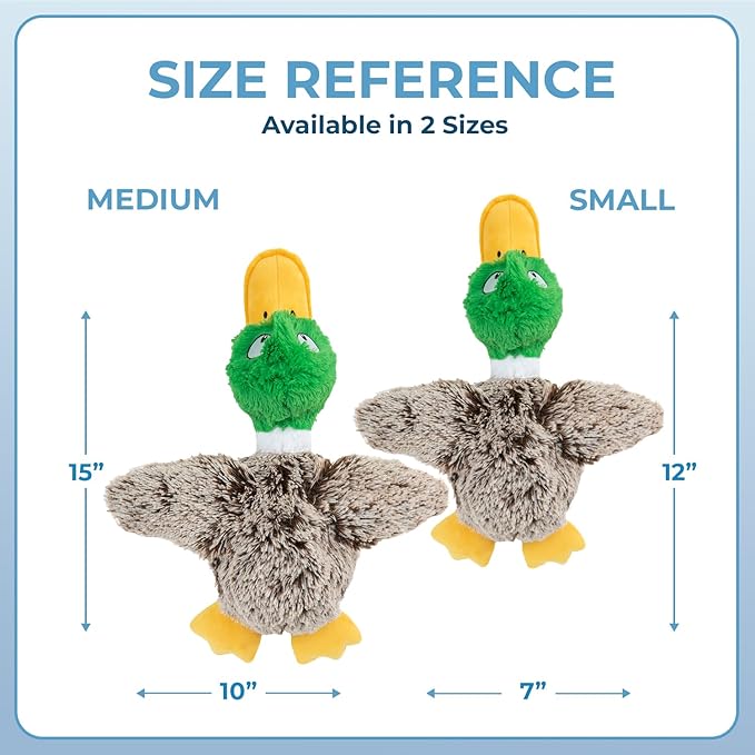Best Pet Supplies Interactive Mallard Mates Dog Toy with Crinkle and Squeaky Enrichment for Small and Medium Breed Puppies or Dogs, Cute and Plush - Mallard Duck (Gray), Small