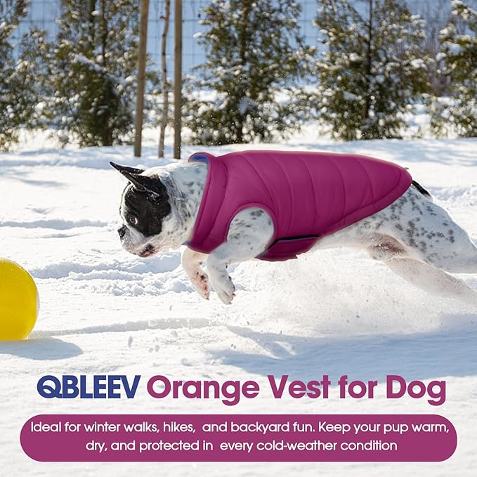 QBLEEV Reversible Dog Coat, Warm Dog Winter Coat for Medium Dogs, Lightweight Windproof Padded Vest for Dogs, Waterproof Adjustable Puffer Cold Weather Jacket for French Bulldog Beagle, Violet, M