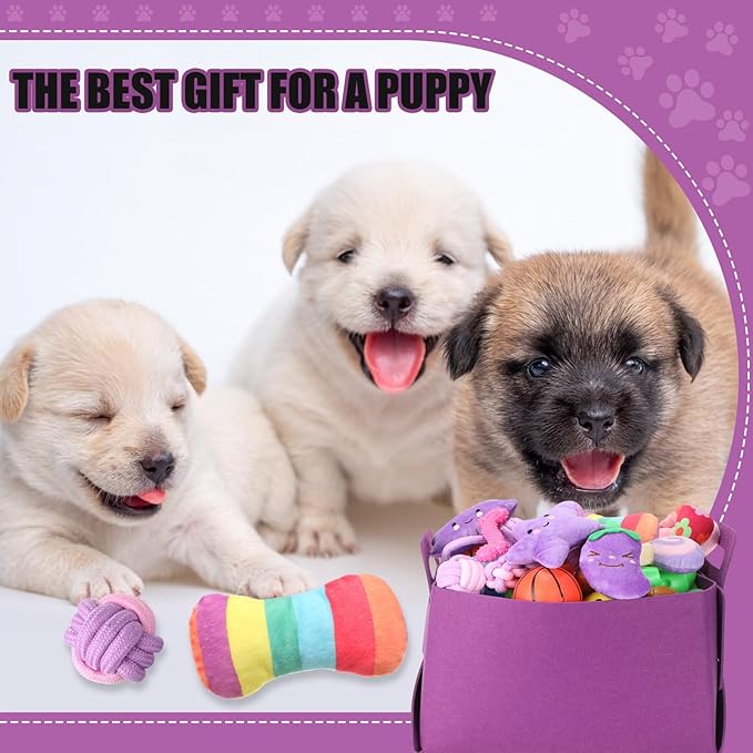 Abbylike 50 Pcs Puppy Supplies Starter Kit for Small Dogs Puppy Essentials Includes Leash, Bowls, Teeth Brushes, Water Bottle, and More Accessories for Dogs Christmas Welcome Gift(Purple)