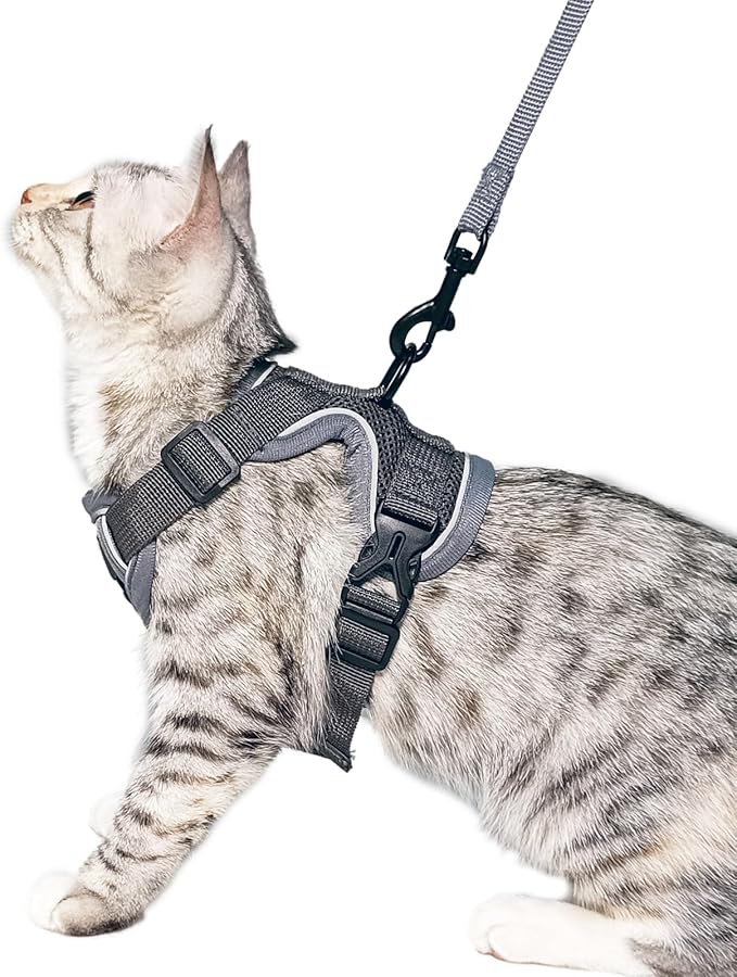 Cat Harness and Leash Set Escape Proof Tactical Large Kitten Harness Emotional Support Cat Vest, Grey, L