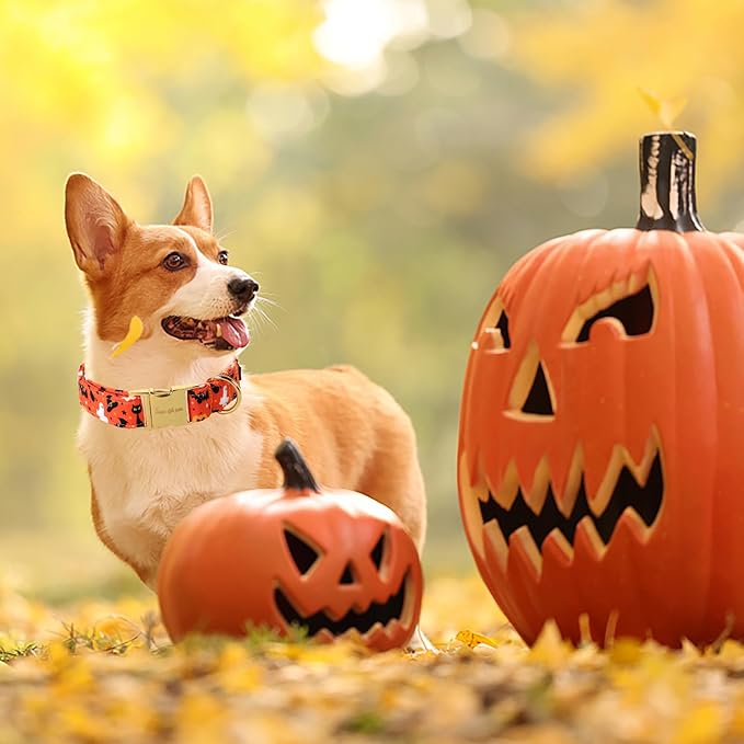 Unique style paws Dog Collar Metal Buckle Collar for Autumn Winter Christmas for Small Medium Large Boys Girls Dogs